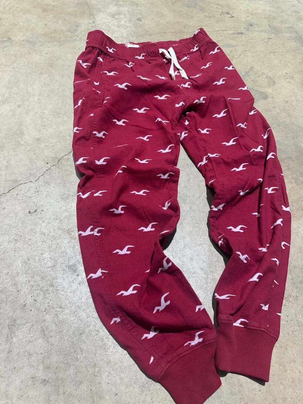 Hollister Epic Flex Jogger Red with White Bird Logo